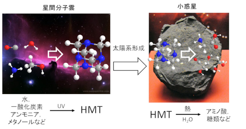 太陽系形成より古い有機分子を炭素質隕石から検出　～ただ古いだけじゃない！太陽系に存在する有機物生成に不可欠な分子～