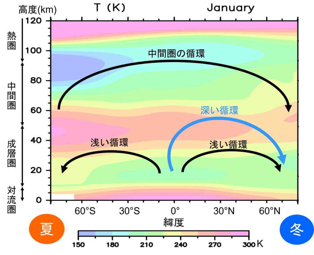 冬季成層圏の「深い循環」の3次元構造を解明