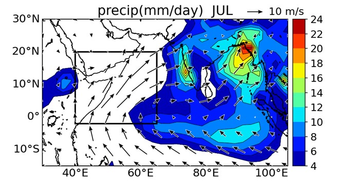 図1 インド洋における7月の降水量（mm/day）、海上風（m/s）の水平分布。黒い枠線は西部アラビア海を示す。