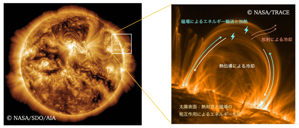 太陽コロナ観測画像とコロナ加熱に関わる物理過程の概要