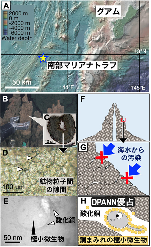 深海底熱水噴出孔で始原的な微生物を発見　－銅まみれの予想外の生態が発見の鍵－