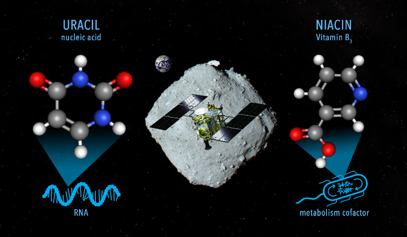 小惑星リュウグウに核酸塩基とビタミンが存在！　～生命誕生前の分子進化と生命の起源解明に期待～