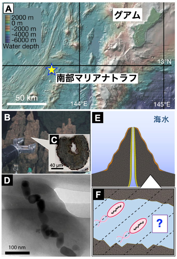 チムニー試料