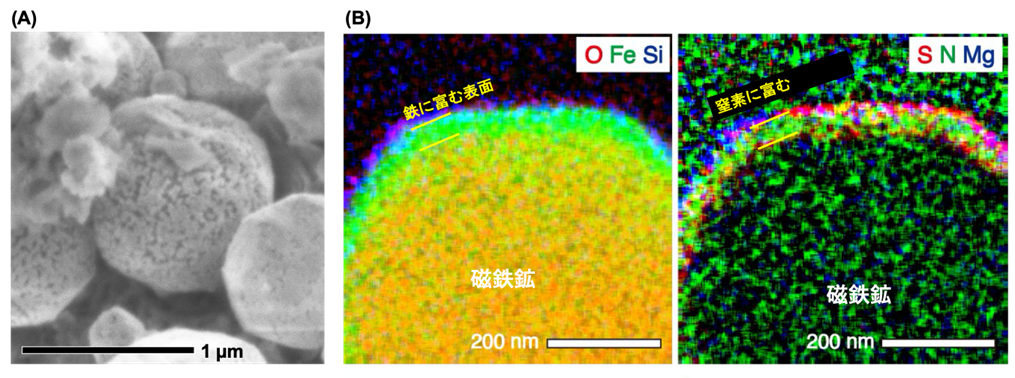 ) 小惑星リュウグウの試料に含まれる磁鉄鉱粒子