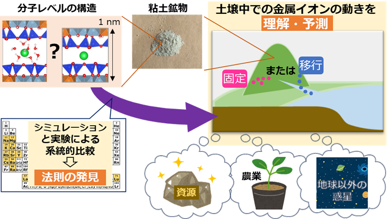 射性元素を含めた金属イオンの土の中での振る舞い