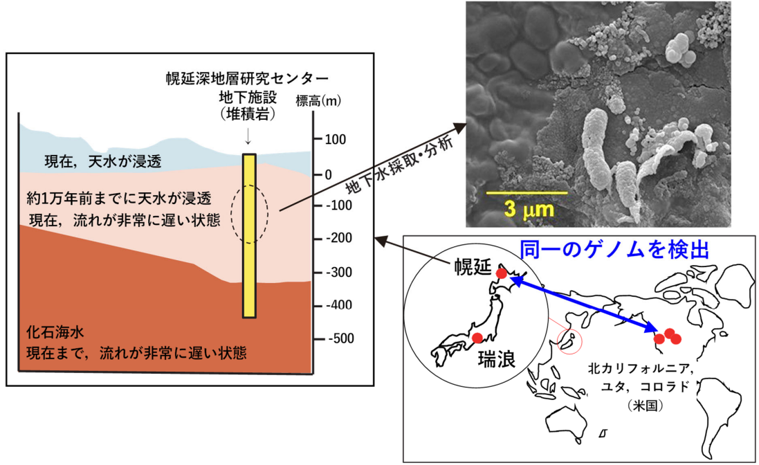地球コアに大量のヘリウム？—高圧下でヘリウムが鉄と化合物を作ることを発見— | 東京大学 理学部 地球惑星物理学科・地球惑星環境学科／大学院理 ...