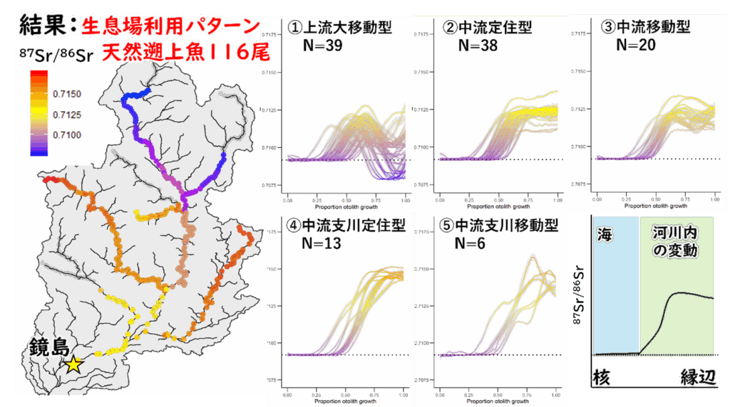 Isoscapeと耳石Sr同位体比の分析結果