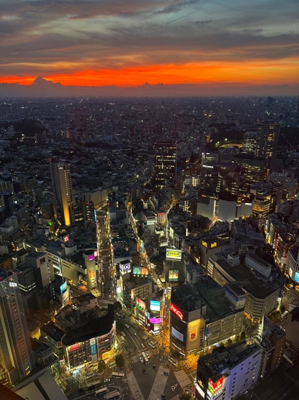 Shibuya from above