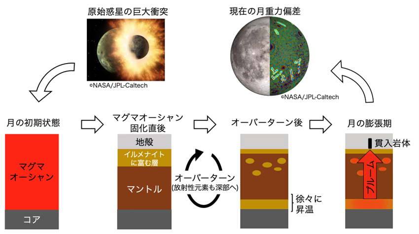 月進化のイメージ図